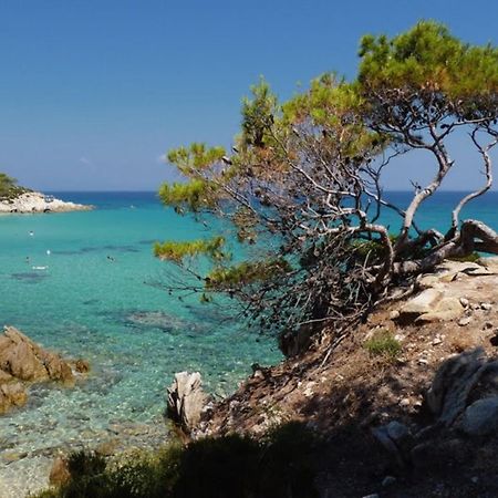 Hotel Alexandros 오르모스 파나기아스 외부 사진